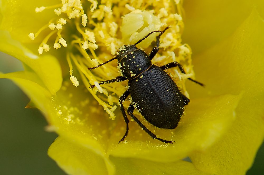 Photograph by shabu joseph