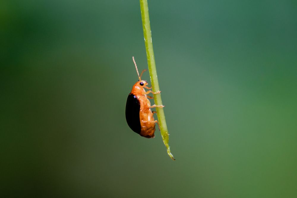 Photograph by shabu joseph