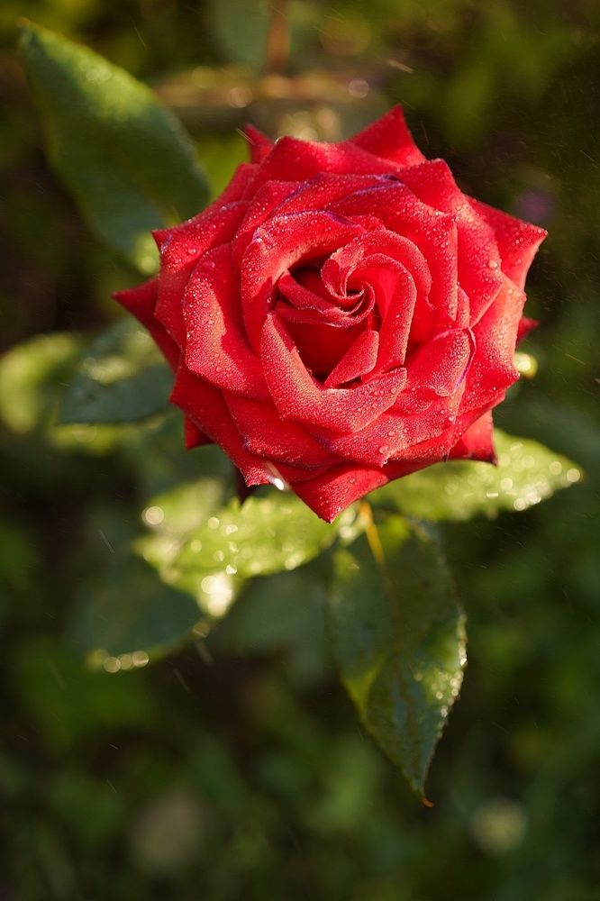 Photograph by Татьяна Александрова