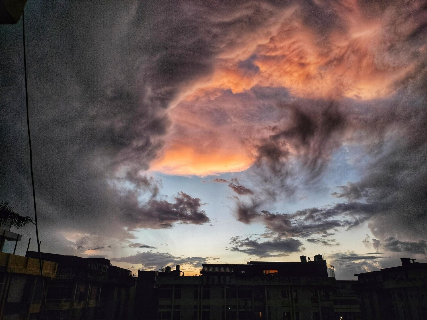 Photo #8207087