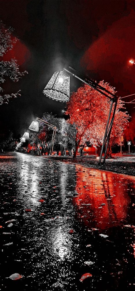 Photograph by Алексей Миронов