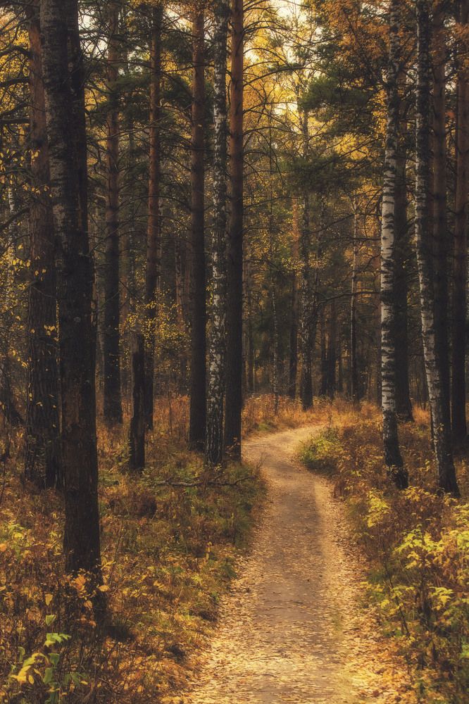 Photograph by Юлия Лушникова