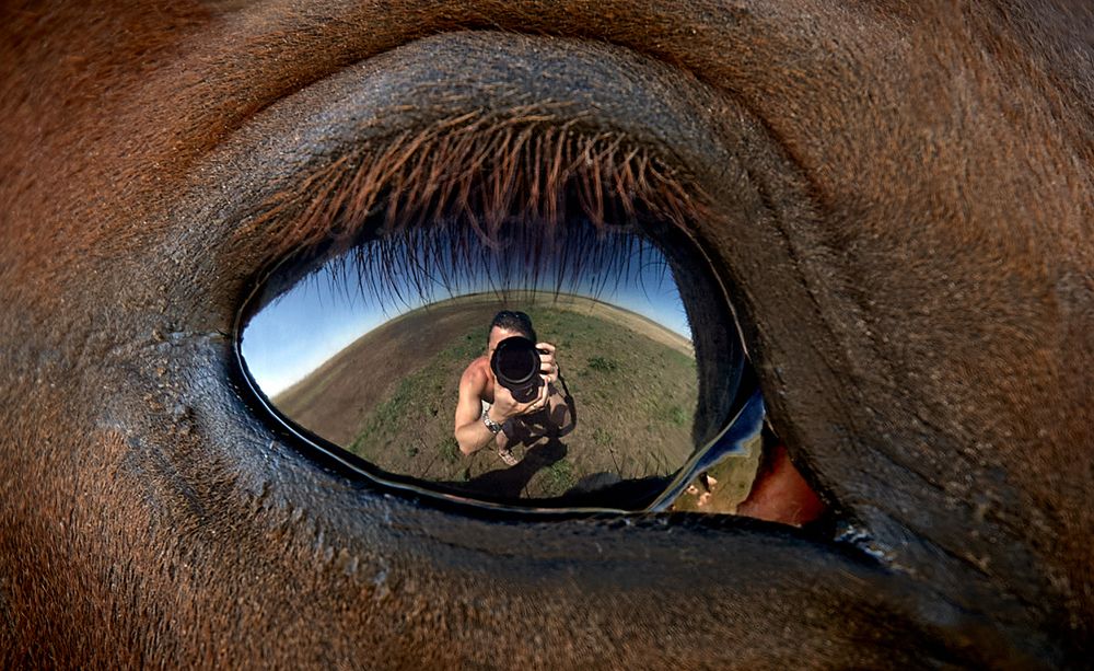 Photograph by Гиль Александр