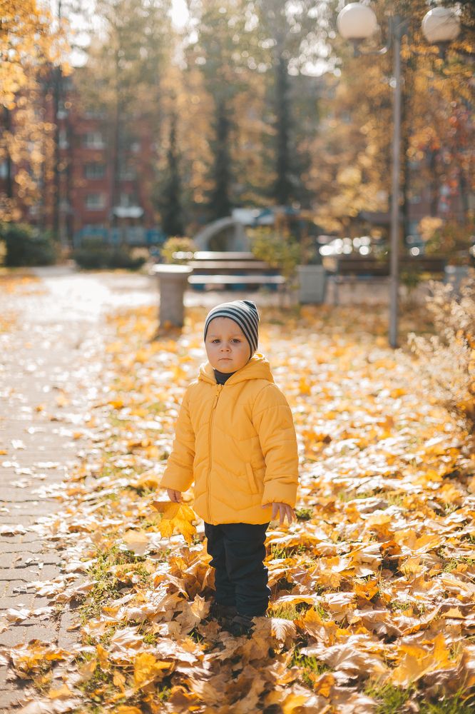 Фотография автора Юлия Андреева