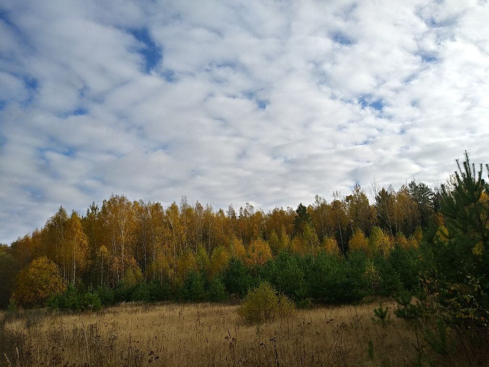 Photograph by Инна Голубева