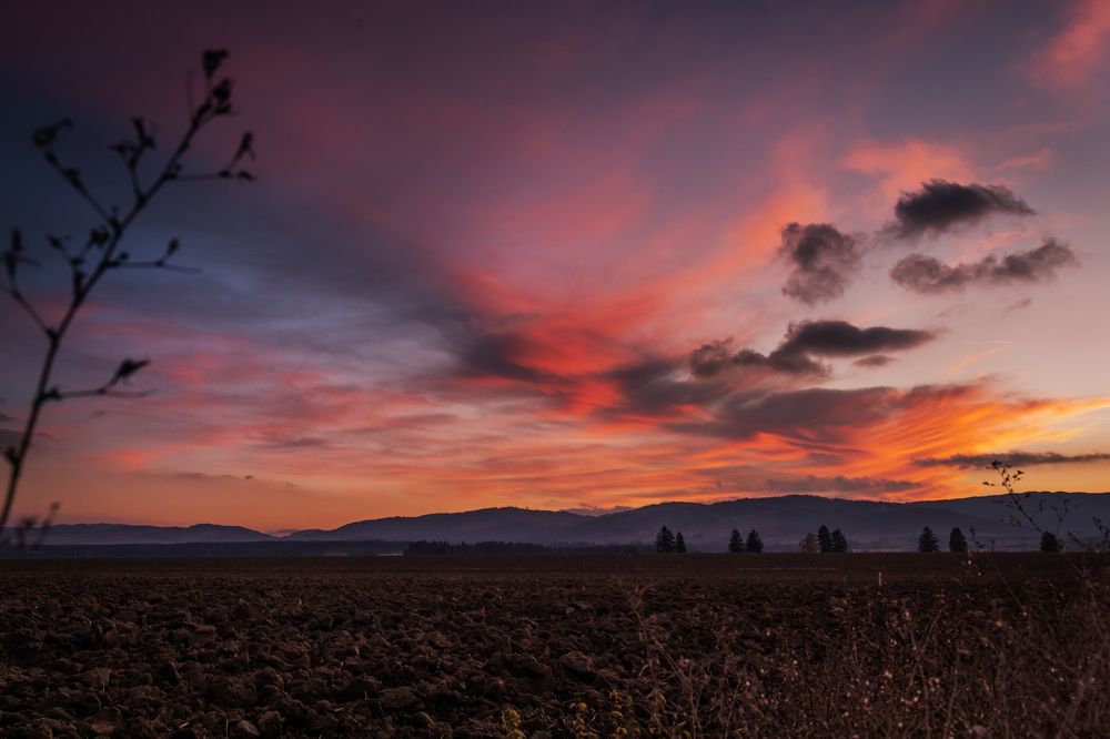 Photograph by Denisa Miazdrová