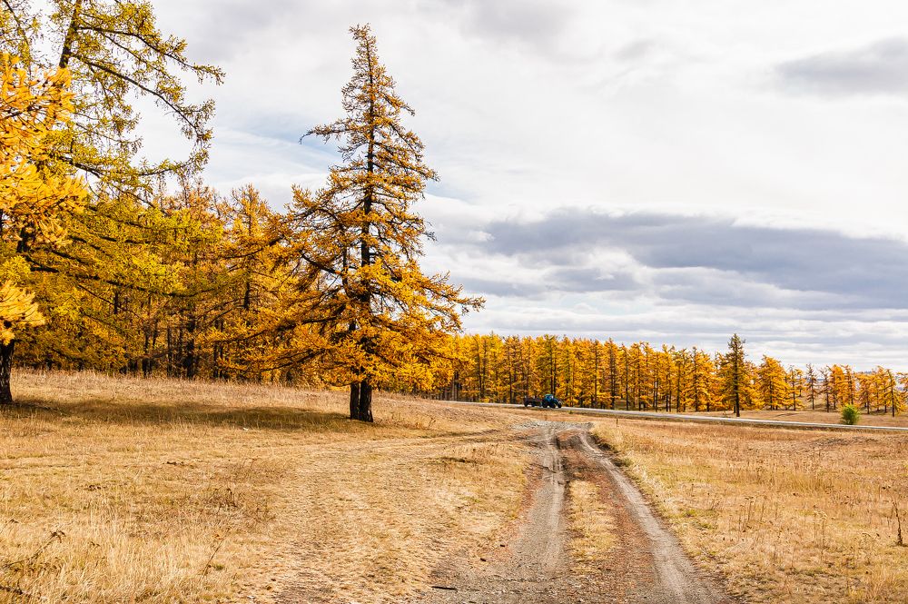 Краски осени