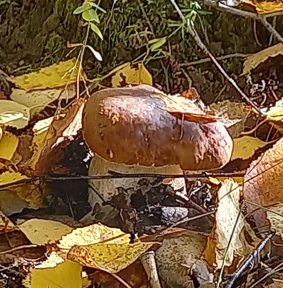 Photograph by Марина