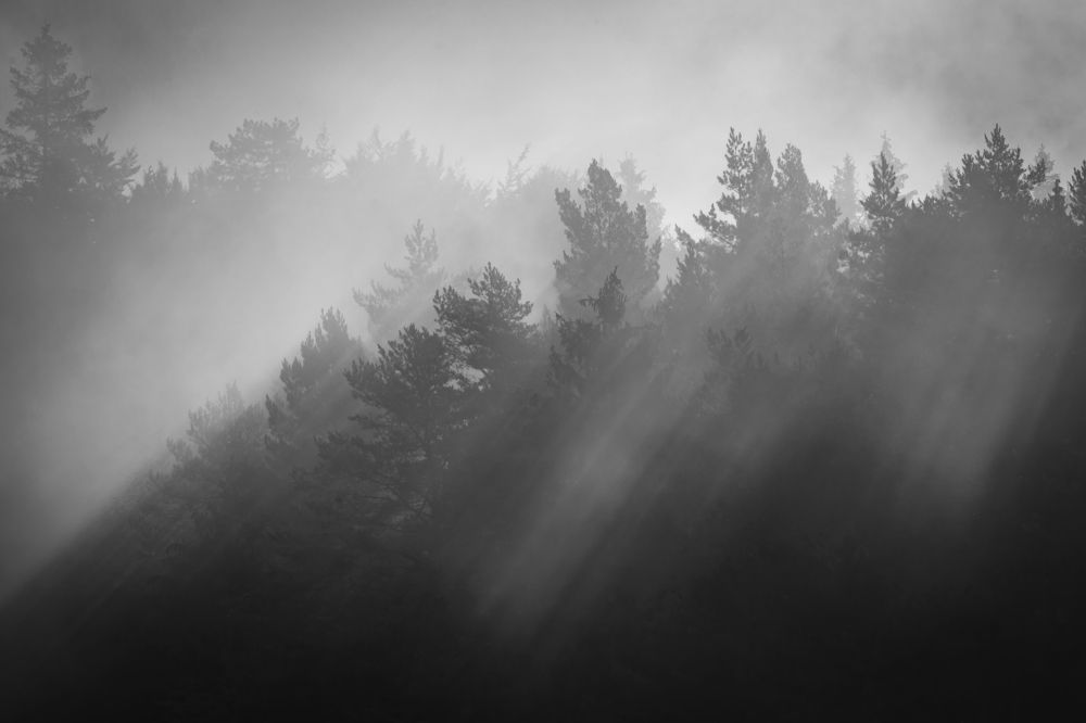 Photograph by Denisa Miazdrová