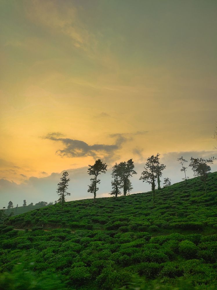 Photograph by Muhammed Junaid