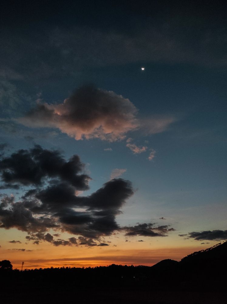 Photograph by Muhammed Junaid