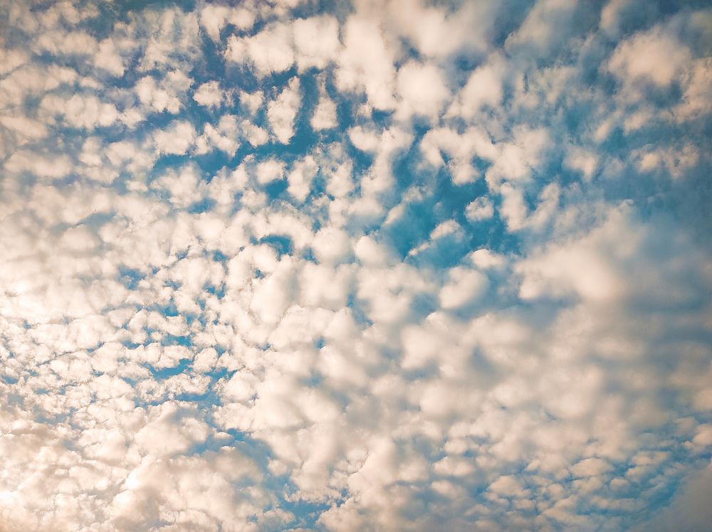 Photograph by Muhammed Junaid