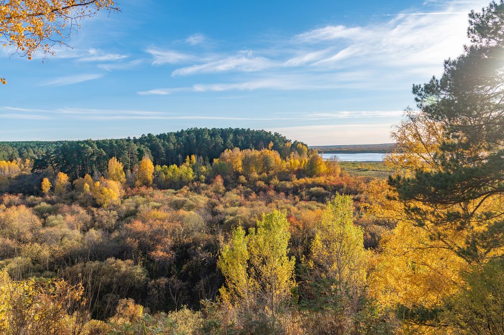Photograph by Галина Патрушева