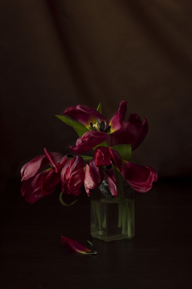 Photograph by Елена Галкина