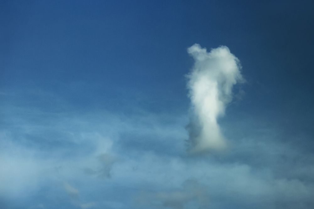 Photograph by Svetlana Karnauh Карнаух