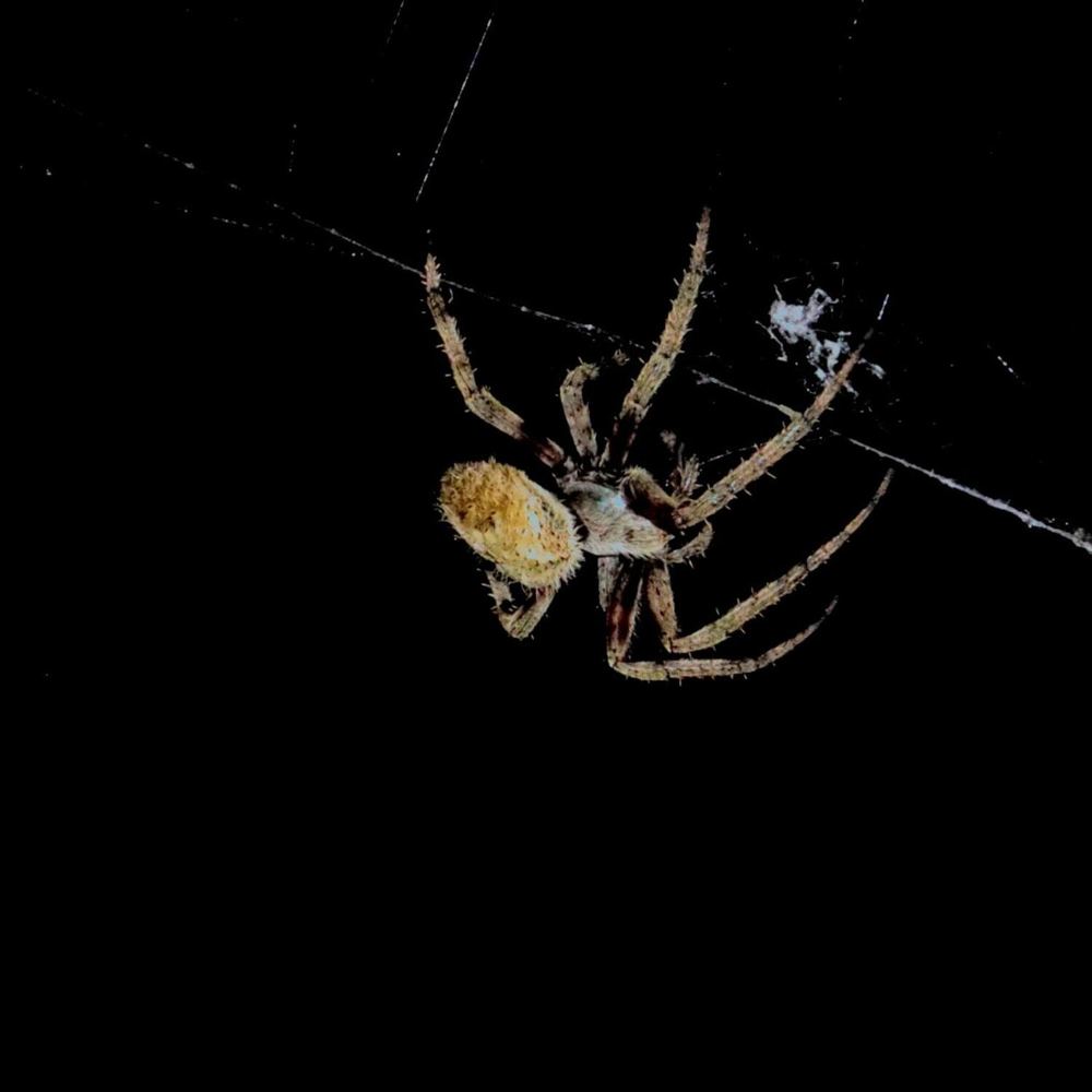 Photograph by Ethan Williams