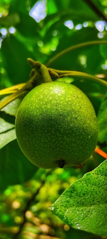 Photograph by Mohammad Ali Ataei Daryaei