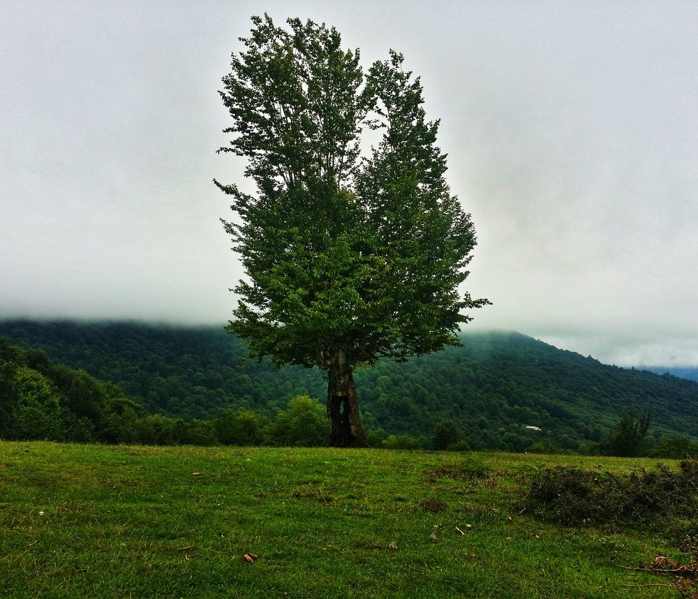 Photograph by Mohammad Ali Ataei Daryaei