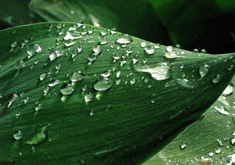 Photograph by Сергей