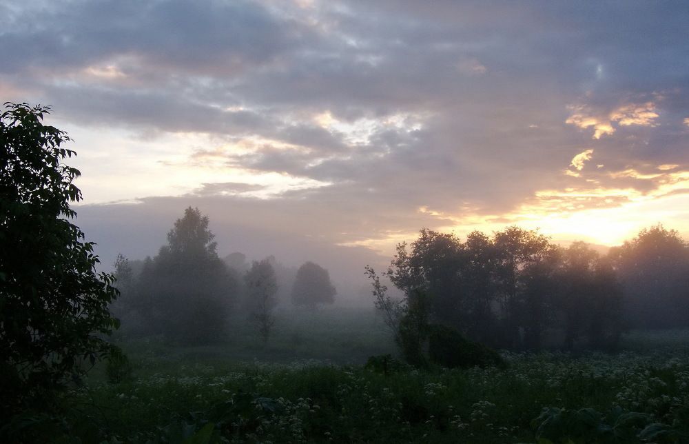 Photograph by Игорь Меньшенин