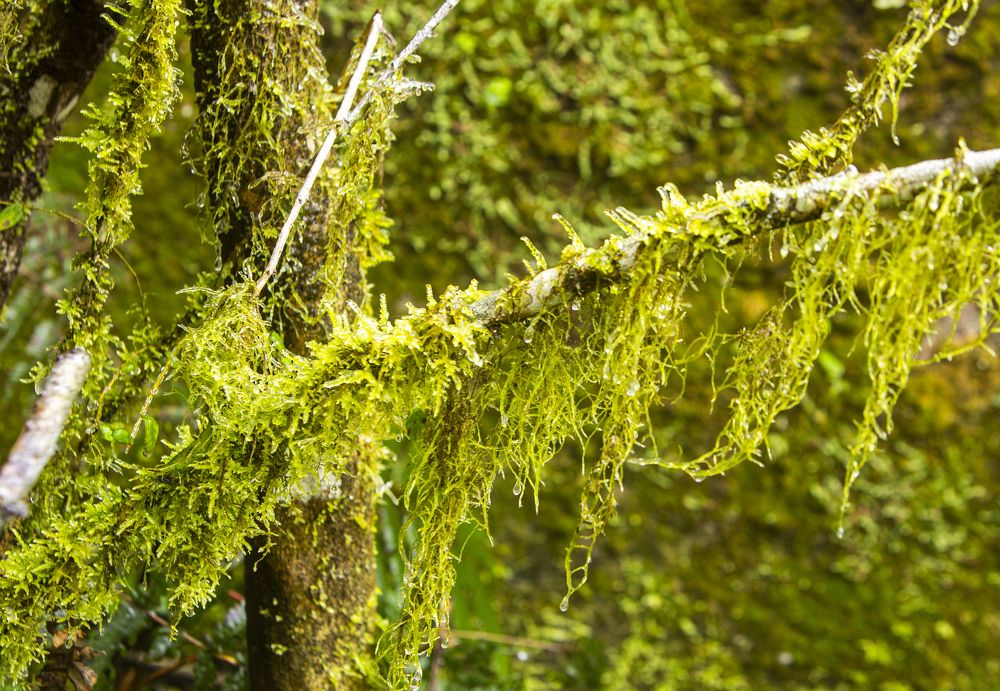 Photograph by Lien lai