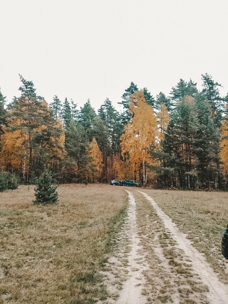 Photograph by Юлия Решетникова