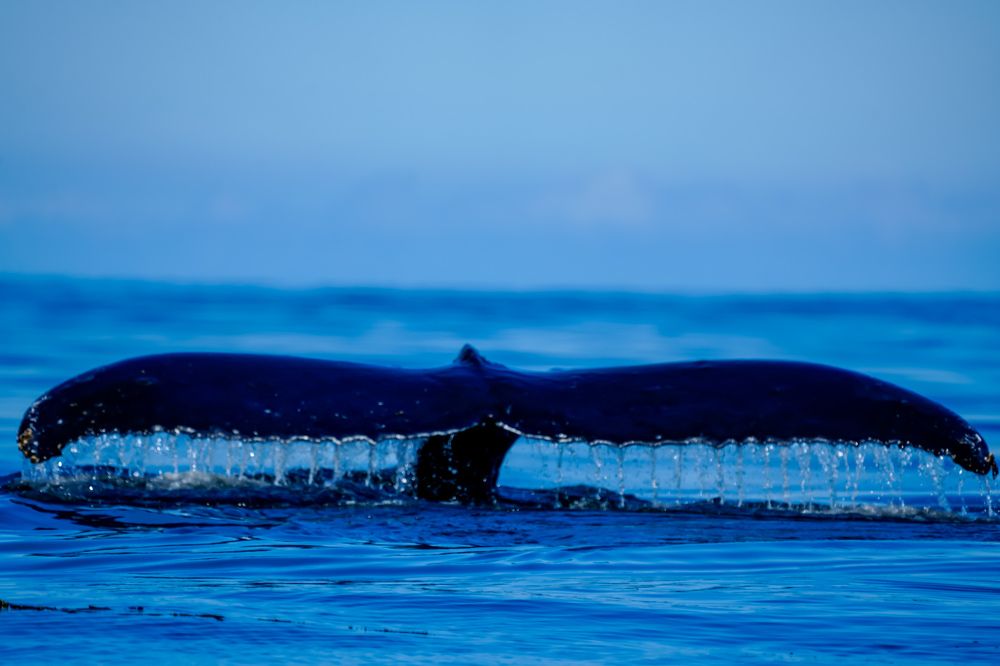 Photograph by 