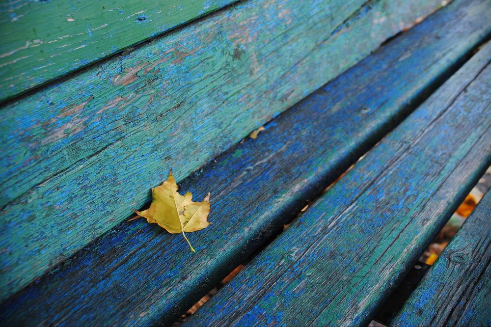 Photograph by Инна Сечко