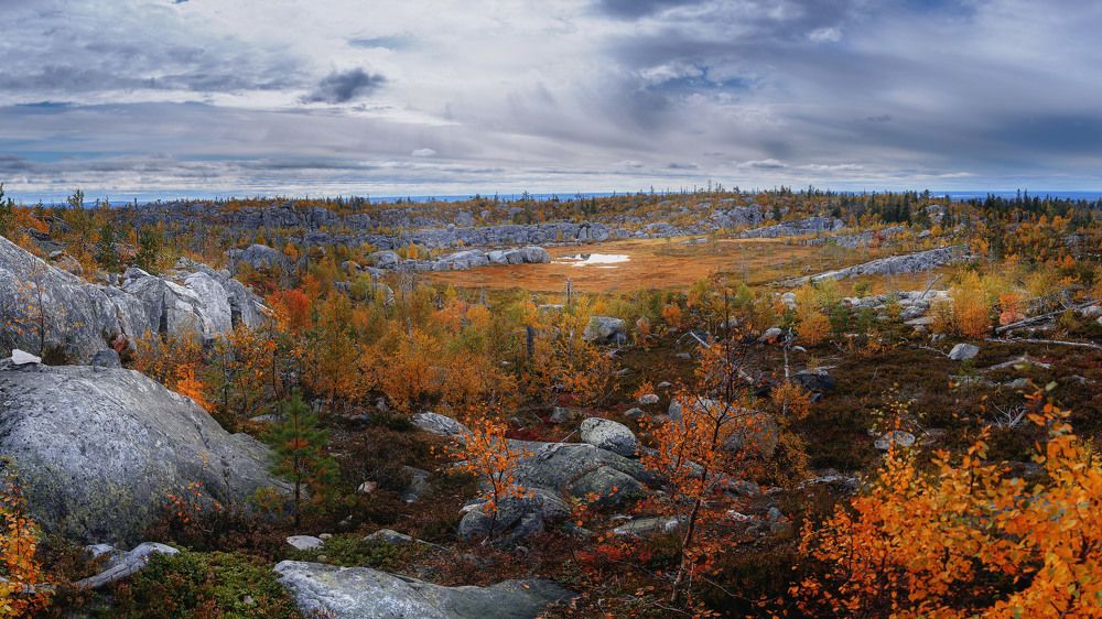 Photograph by Александр Титов