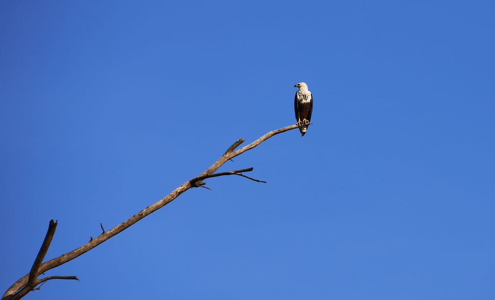 Photograph by Гиль Александр