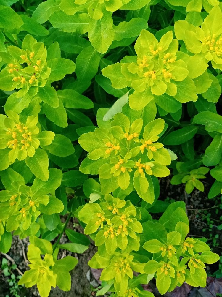 Photograph by Михаил Царикевич