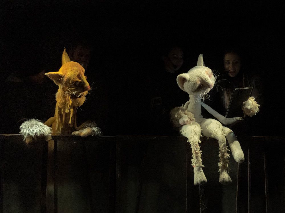 Photograph by Светлана Андреева