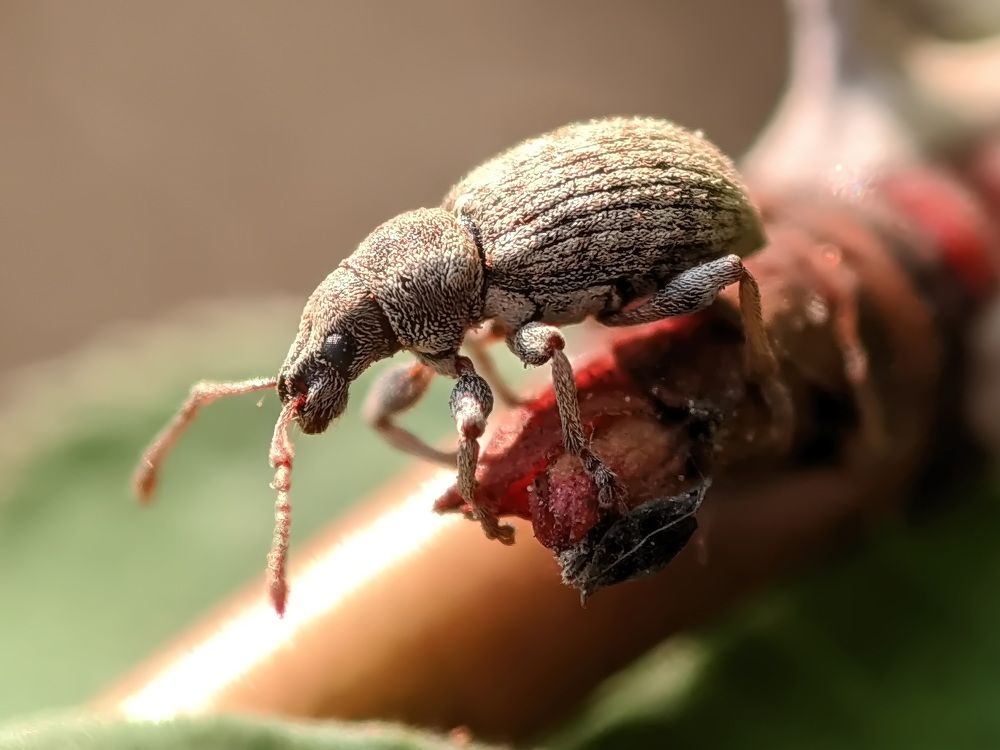 Photograph by Дмитрий Кузнецов