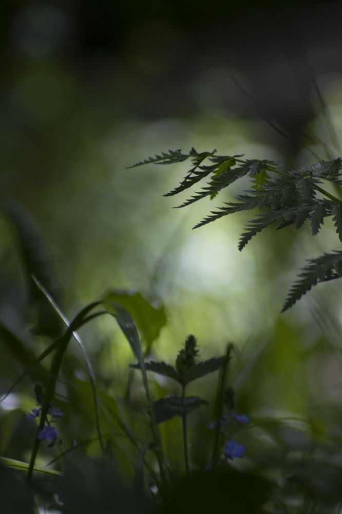 Фотография автора Марина Шигина