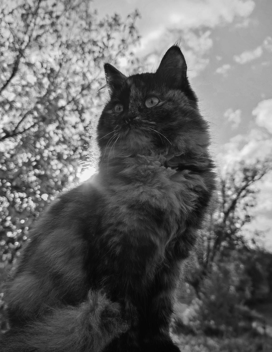 Photo #8207825