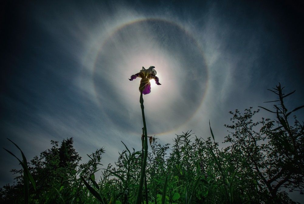 Фотография автора Владимир Фролов