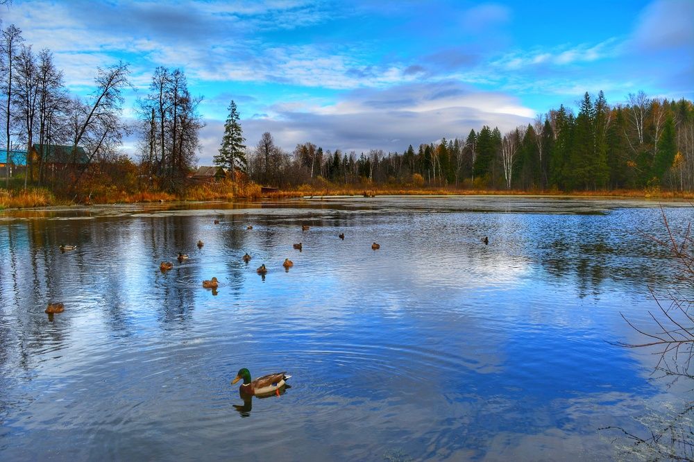 Photograph by Наталья Светлова