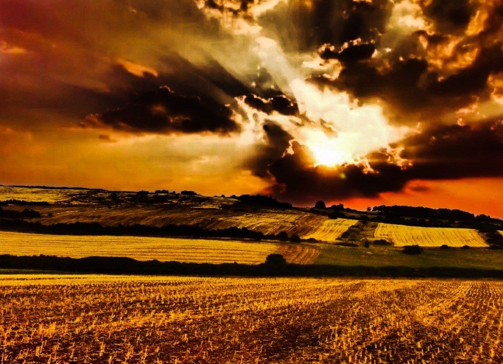 Photograph by Nikolett Mengyi