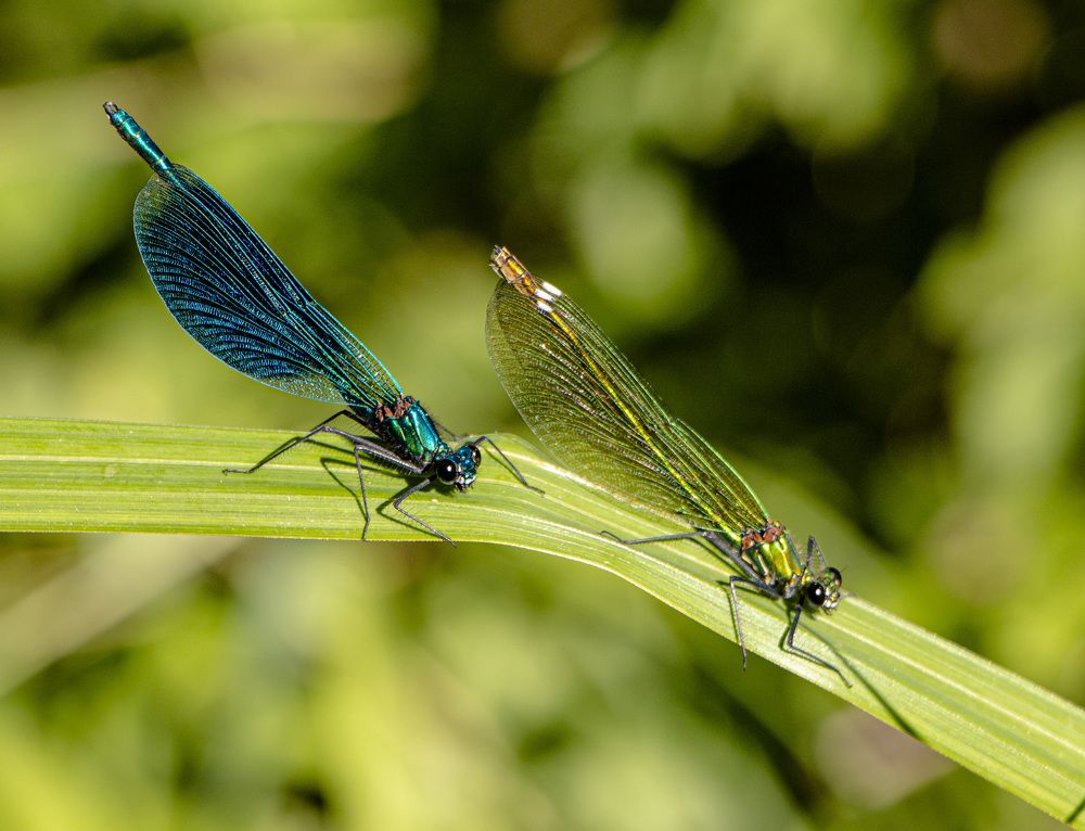 Photograph by Александр Пузиков
