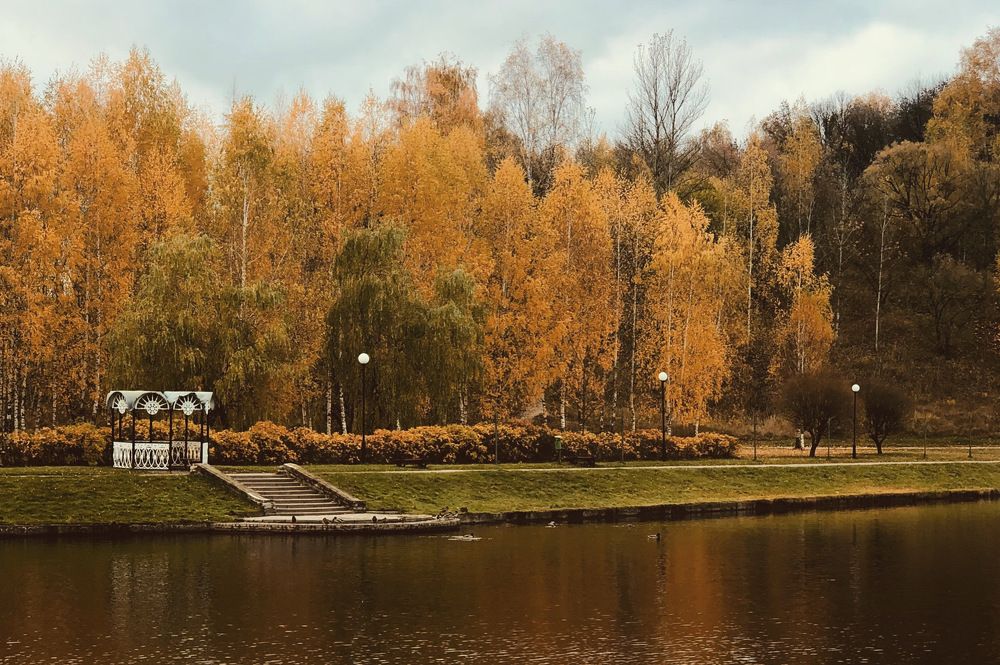 Photograph by Halina Mitsevich