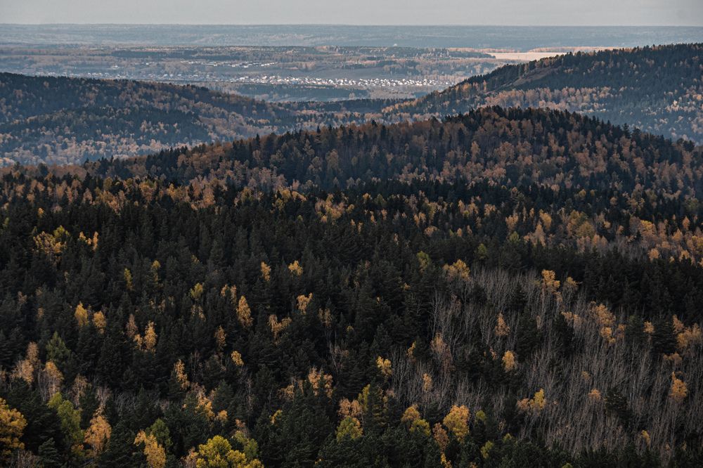 Photograph by Светлана Андреева