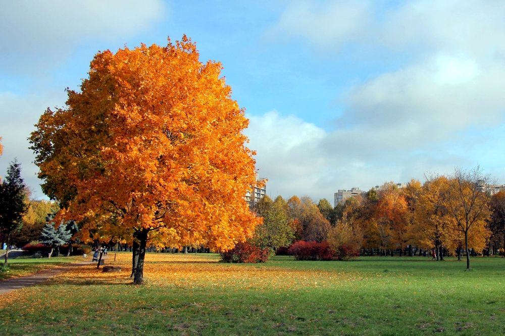 Photograph by Максим Роганов