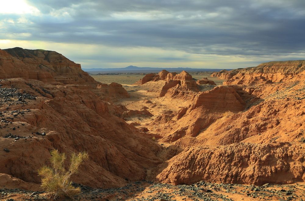 Photograph by Ирина Сушко