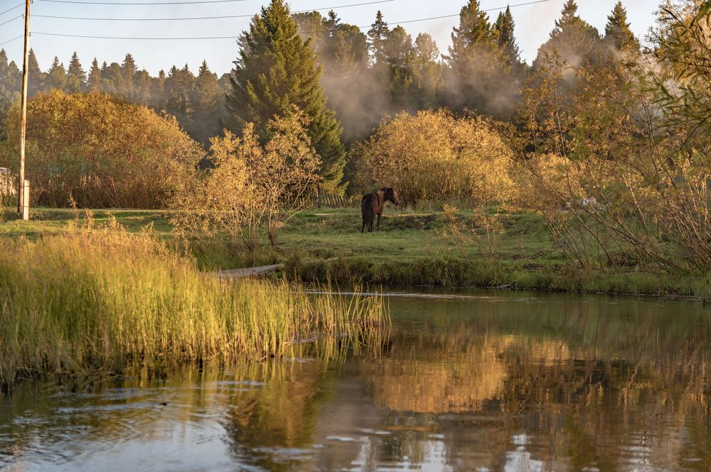 Photograph by Галина Патрушева