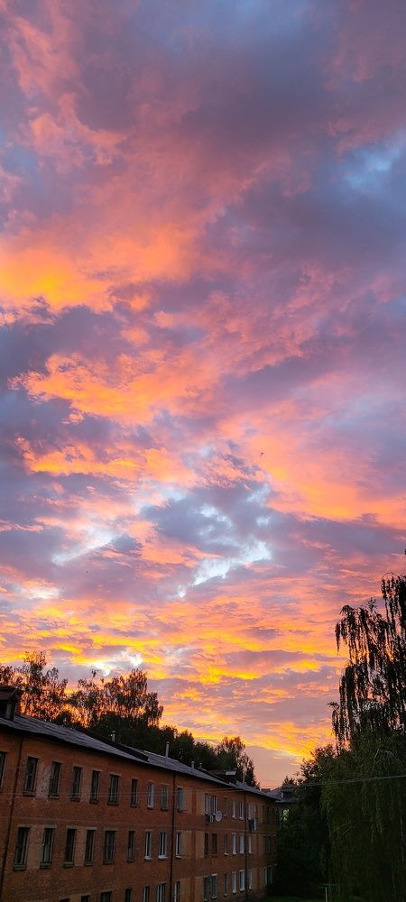 Photo #8207999