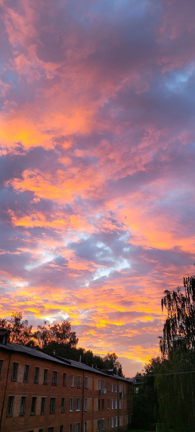 Photo #8207999