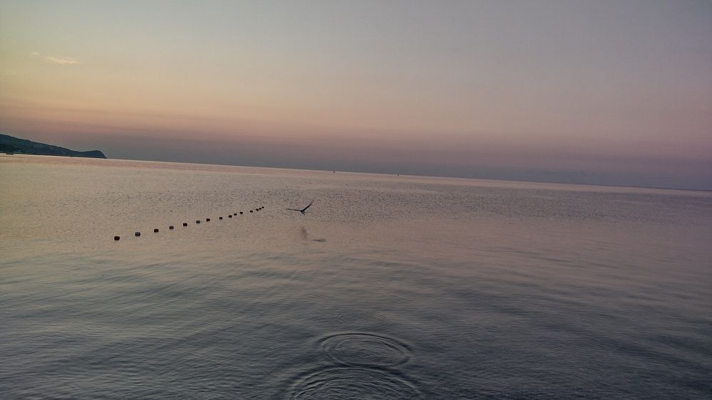 Photograph by Anastasia Kodatenko