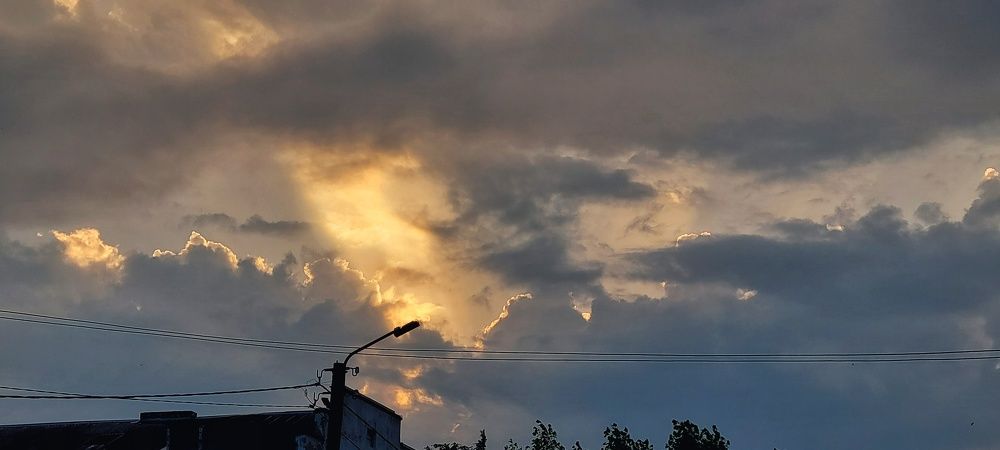 Photo #8208013