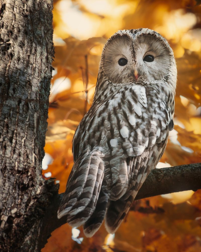 Photograph by Поляков Михаил