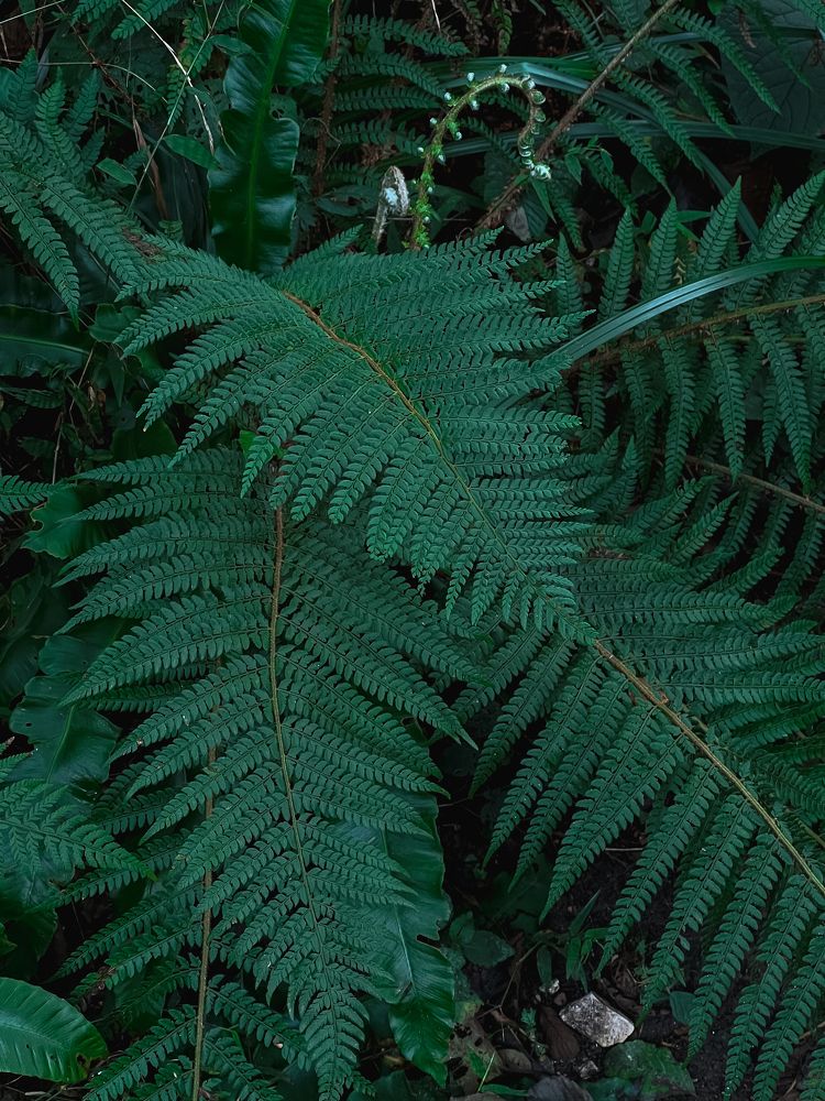 Photograph by Марина Скворцова